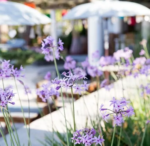 Ibizazen Santa Eularia des Riu